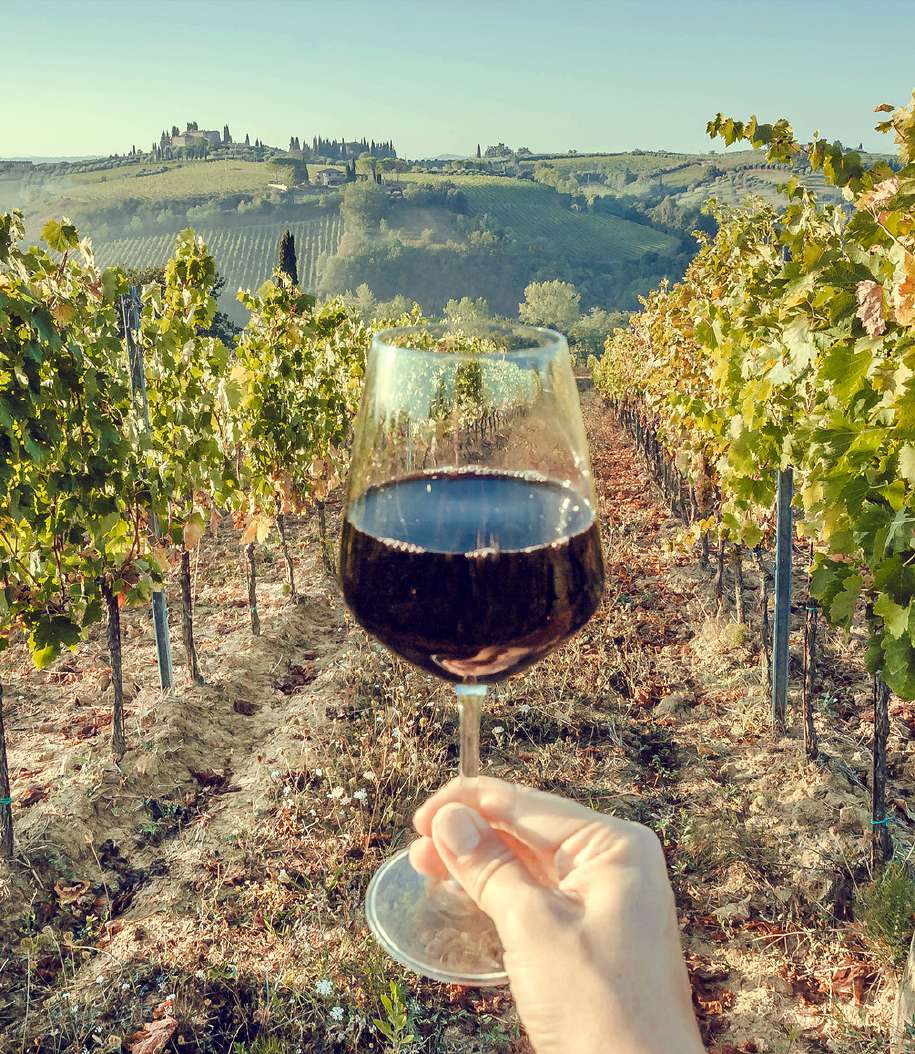 Degustación de vino en un viñedo cerca de Santiago